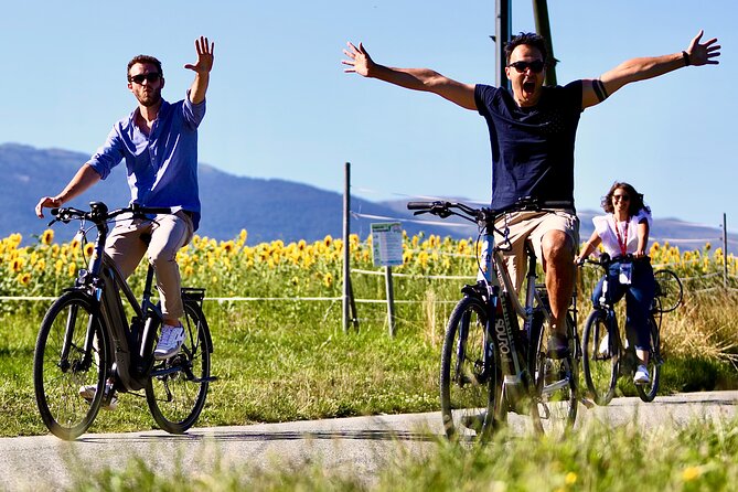 2-Hour Small-Group Bike Guided Tour in Geneva