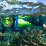 1 2 hour snorkeling paradise reef in cancun underwater museum 2-Hour Snorkeling Paradise Reef in Cancún Underwater Museum