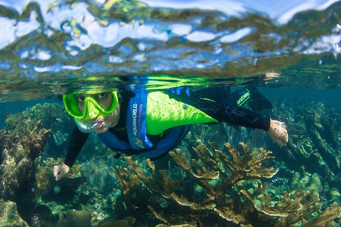 1 2 hour snorkeling paradise reef in cancun underwater museum 2-Hour Snorkeling Paradise Reef in Cancún Underwater Museum