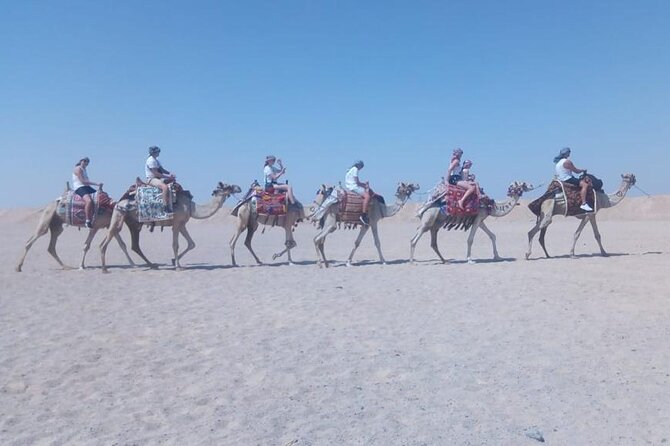 2 Hours Horse Riding on the Sea and Desert- Hurghada