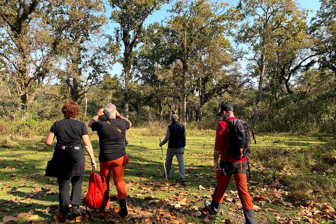 2 Hours Nature Walk in Chitwan National Park