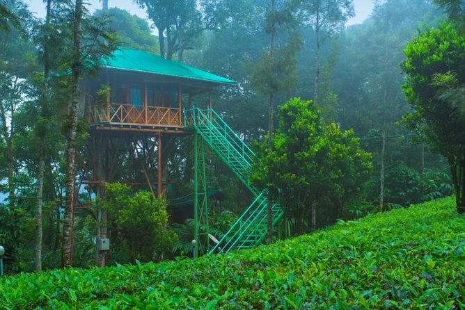 1 2 nights munnar treehouse escape with private car iris holidays 2 Nights Munnar Treehouse Escape With Private Car- Iris Holidays