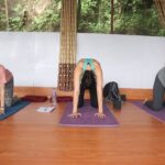 1 21 days yoga retreat in himalayan country nepal 21 Days Yoga Retreat in Himalayan Country Nepal