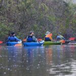 1 2hour everglades kayak safari adventure through mangrove tunnels 2Hour Everglades Kayak Safari Adventure Through Mangrove Tunnels