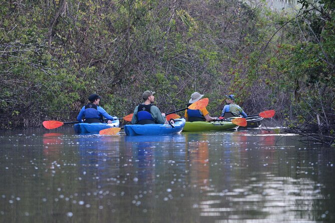 2Hour Everglades Kayak Safari Adventure Through Mangrove Tunnels