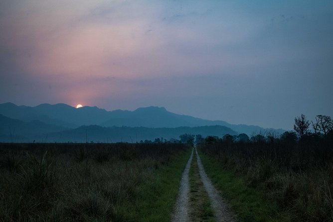 2N Jim Corbett National Park (Dhikala Zone)