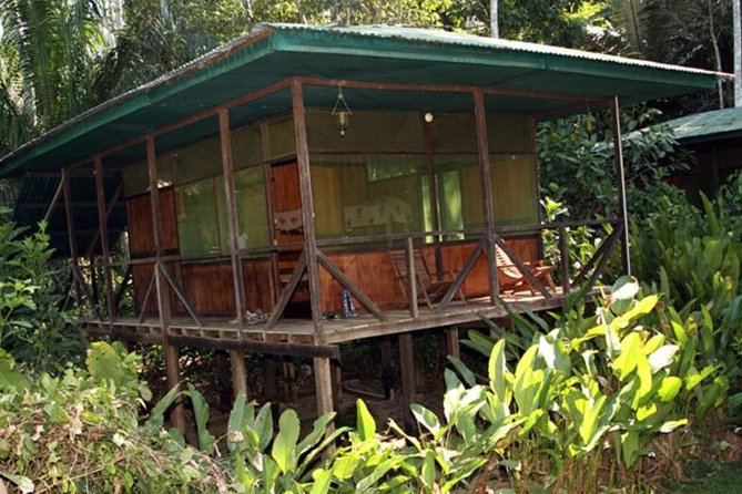 3-Day Amazon From Puerto Maldonado With Eco Lodge Accommodation