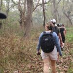 1 3 day chitwan national park jungle safari tour package with pick up 3-Day Chitwan National Park Jungle Safari Tour Package With Pick up