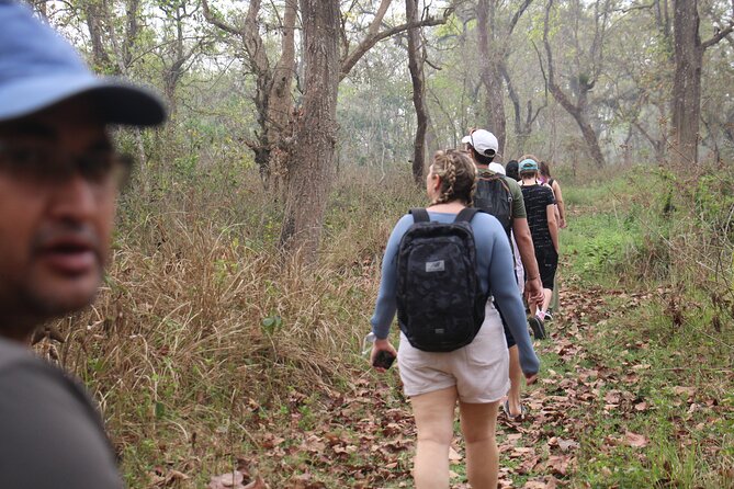 1 3 day chitwan national park jungle safari tour package with pick up 3-Day Chitwan National Park Jungle Safari Tour Package With Pick up