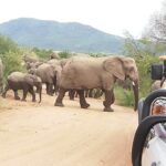 1 3 day kruger national park end with panaroma 3 Day Kruger National Park End With Panaroma