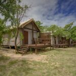 1 3 day luxury tented kruger safari from johannesburg 3 Day Luxury Tented Kruger Safari From Johannesburg