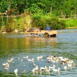1 3 day trekking in pu luong nature reserve private tour 3-Day Trekking In Pu Luong Nature Reserve Private Tour