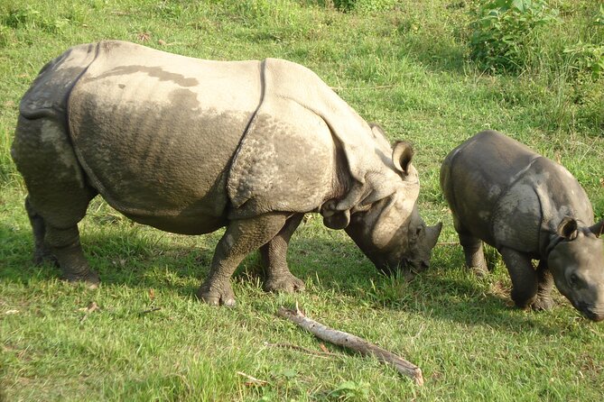 3 Days Chitwan Jungle Safari