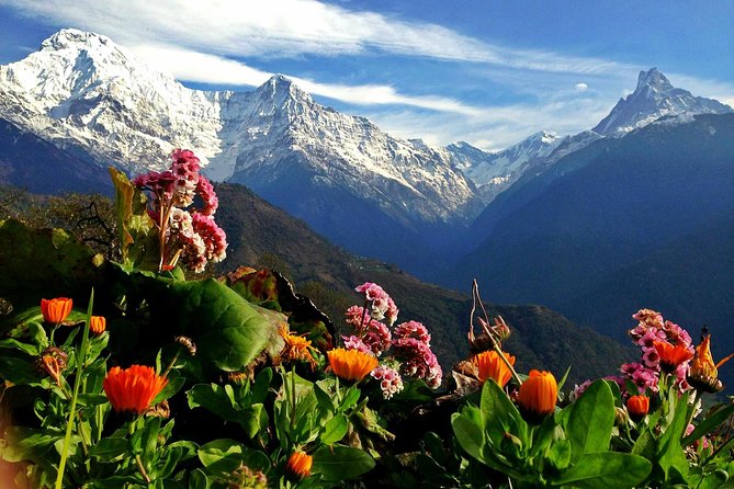 3 Days Ghorepani Poonhill Trek From Pokhara