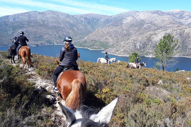3 Days Horse Riding in Peneda Gerês National Park