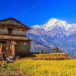 1 3 days short trek to ghandruk asias most picturesque town 3 Days Short Trek to Ghandruk - Asia'S Most Picturesque Town