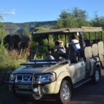1 3 hour private game drive of pilanesberg national park 3-Hour Private Game Drive of Pilanesberg National Park