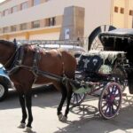 1 3 hour private luxor horse carriage city tour 3-Hour Private Luxor Horse Carriage City Tour