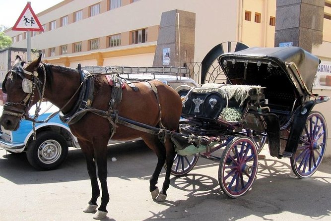 1 3 hour private luxor horse carriage city tour 3-Hour Private Luxor Horse Carriage City Tour