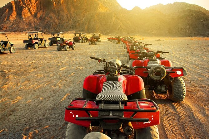 1 3 hours quad with camel ride from marsa alam 3 Hours Quad With Camel Ride From Marsa Alam