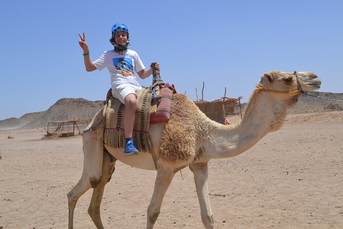 3 Hours Safari by ATV Quad Bike & Camel Ride Transfer to El Gouna