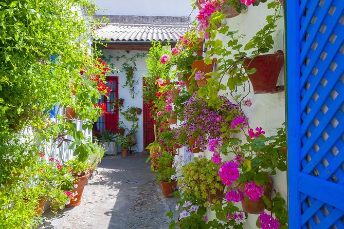 1 4 day guided tour of caceres cordoba and seville by bus and high speed train 4-Day Guided Tour of Caceres, Cordoba, and Seville by Bus and High-Speed Train