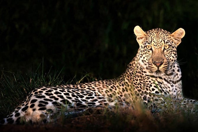 4 Day Kruger National Park and Panorama Route Safari - Pricing and Booking Information