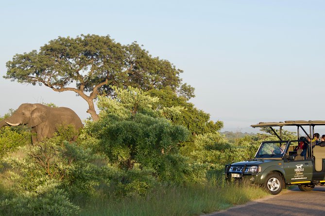 4-Day Kruger Park Safari & Panoramic Tour Combo Including Breakfast and Dinner
