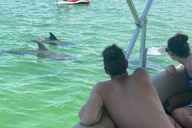 1 4 hour dolphin and sandbar cruise 4 Hour Dolphin and Sandbar Cruise