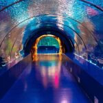 1 4 hour guided antalya aquarium tour 4-Hour Guided Antalya Aquarium Tour