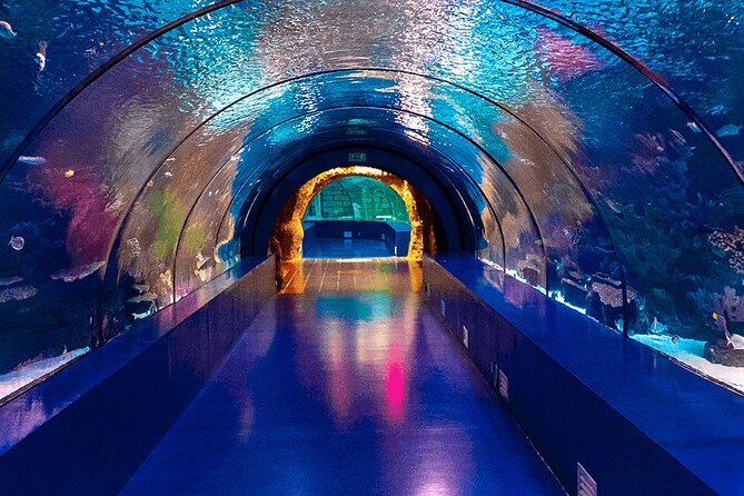 4-Hour Guided Antalya Aquarium Tour