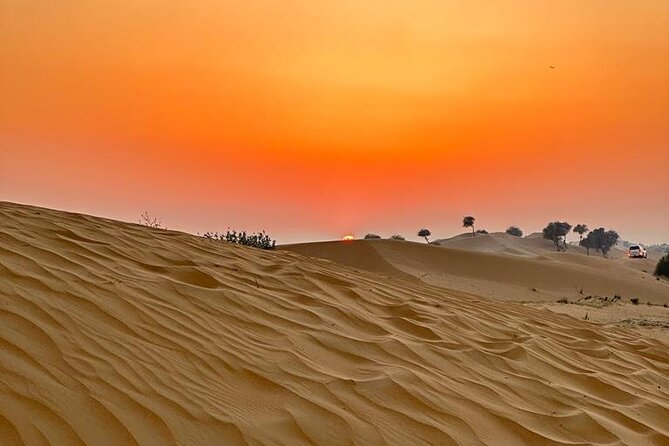 4 Hours Morning Desert Safari in Dubai