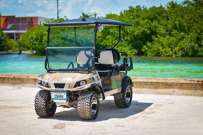 4-Seater Golf Cart Rental in San Pedro