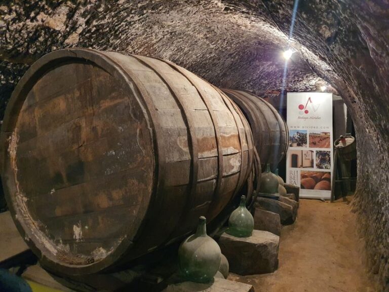 4 Wineries, Comprehensive Ribera Del Duero Winetour