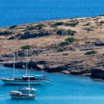 1 4x4 jeep tour of the bodrum peninsula from bodrum 4x4 Jeep Tour of the Bodrum Peninsula From Bodrum