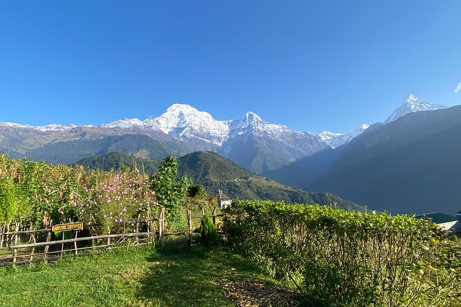 5-Day Ghorepani Poon Hill Trek From Kathmandu