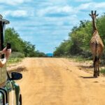 1 5 day kruger national park and panorama route safari 5 Day Kruger National Park and Panorama Route Safari