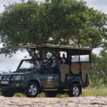 1 5 day kruger park safari panoramic tour combo including breakfast and dinner 5-Day Kruger Park Safari & Panoramic Tour Combo Including Breakfast and Dinner