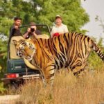 1 5 day private delhi agra and jaipur with ranthambhore tiger tour from delhi 5-Day Private Delhi, Agra and Jaipur With Ranthambhore Tiger Tour From Delhi