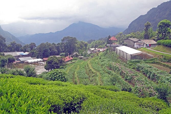 5-Day Private Farming Experience in Nayapul With Accommodation
