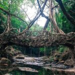 1 5 day private tour in meghalaya with meals and accommodation 5-Day Private Tour in Meghalaya With Meals and Accommodation
