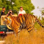 1 5 days golden triangle tour with ranthambore delhi agra jaipur 5 Days Golden Triangle Tour With Ranthambore Delhi Agra Jaipur