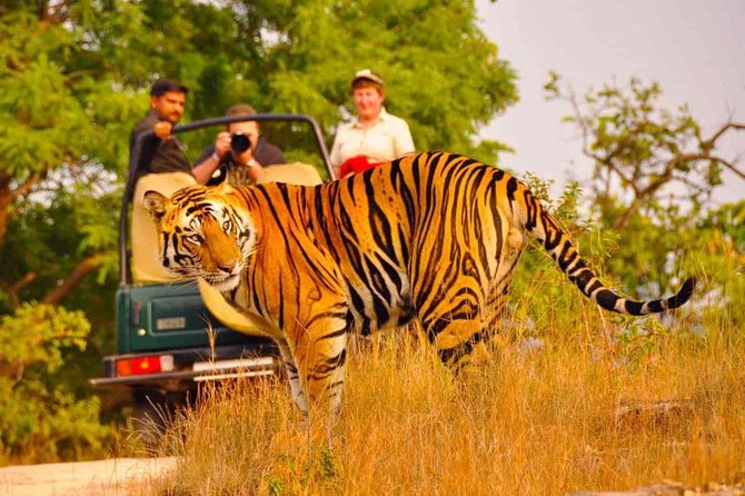 1 5 days golden triangle tour with ranthambore delhi agra jaipur 5 Days Golden Triangle Tour With Ranthambore Delhi Agra Jaipur