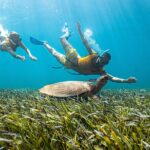 1 5 in 1 cancun snorkeling tourswim with turtles reef musashipwreck and cenote 5-In-1 Cancun Snorkeling Tour:Swim With Turtles, Reef, Musa,Shipwreck and Cenote