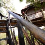 1 6 day lodge and treehouse kruger national park safari 6 Day Lodge and Treehouse Kruger National Park Safari