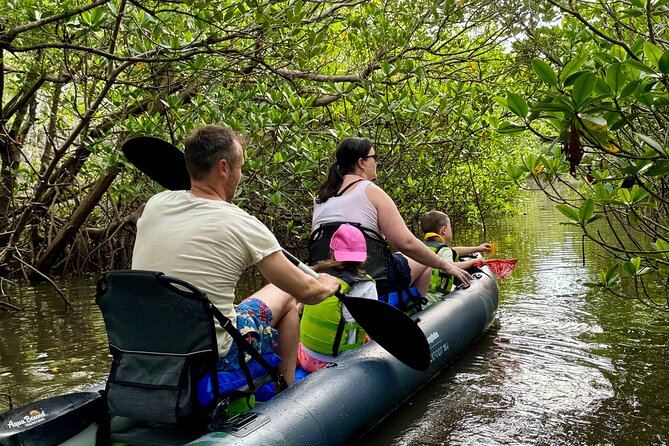 6-Hr Tropical Mangroves, Coastal River and Ocean Wildlife Watch