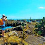 1 7 day galapagos island hopping tour tortuga bay tintoreras wildlife watching 7-Day Galapagos Island Hopping Tour: Tortuga Bay, Tintoreras, Wildlife Watching