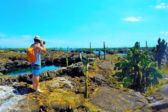7-Day Galapagos Island Hopping Tour: Tortuga Bay, Tintoreras, Wildlife Watching