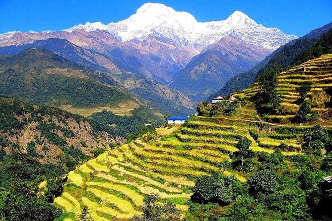 1 7 days ghorepani poonhill ghandruk trek from kathmandu 7 Days Ghorepani Poonhill Ghandruk Trek From Kathmandu