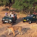 1 7 days private golden triangle ranthambore tour includeshotelcarsafari 7-Days Private Golden Triangle & Ranthambore Tour Includes,Hotel,Car,Safari